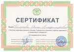 Сертификат 03 Шевцов АМ
